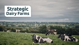 Making grazing pay: Practical decisions from Moorhouse Hall Farm